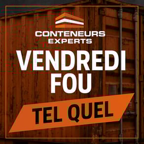 Vendredi fou - Tel quel